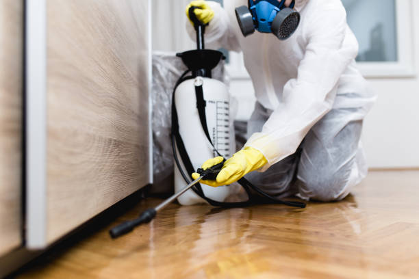 Best Affordable Pest Control Services  in Sylvester, GA
