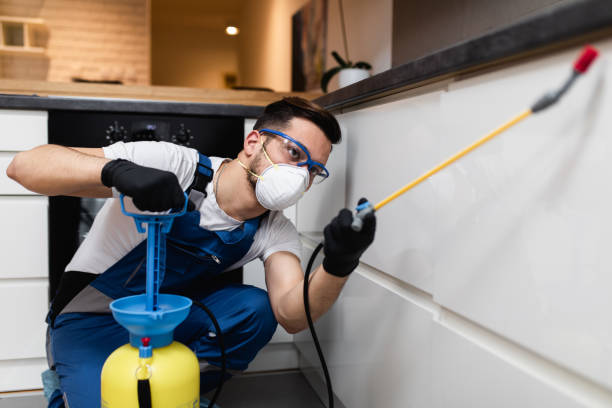 Best Wasp Removal Services  in Sylvester, GA