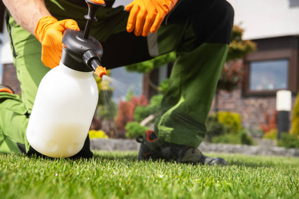 Best Pest Prevention Services  in Sylvester, GA