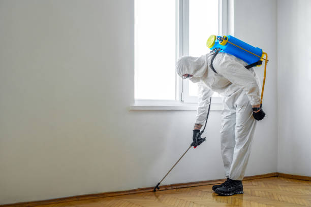 Insect Control in Sylvester, GA