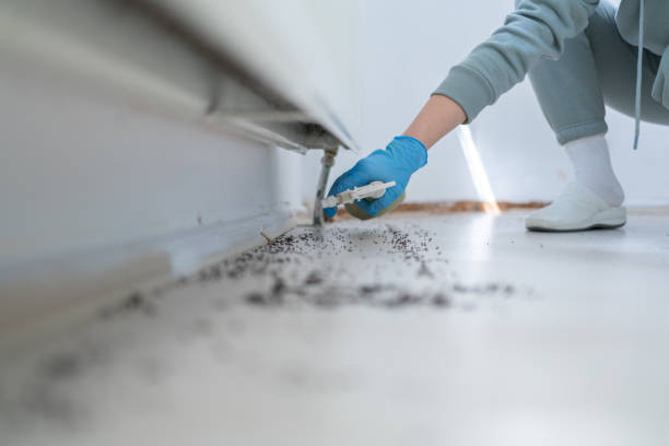 Best Ant Control Services  in Sylvester, GA